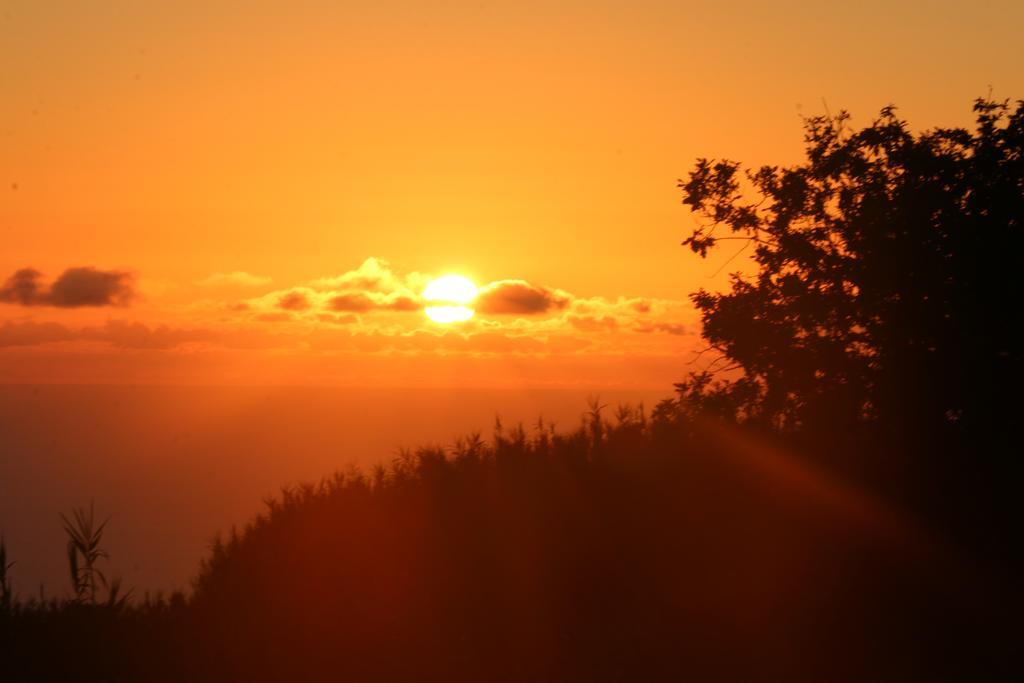 Madeira Native Motion Guest House Fajã da Ovelha Pokój zdjęcie